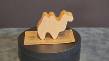 Load and play video in Gallery viewer, Camel
