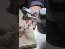 Load and play video in Gallery viewer, Sloth
