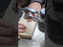 Load and play video in Gallery viewer, Hippo
