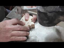 Load and play video in Gallery viewer, Rhino
