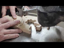 Load and play video in Gallery viewer, Lion
