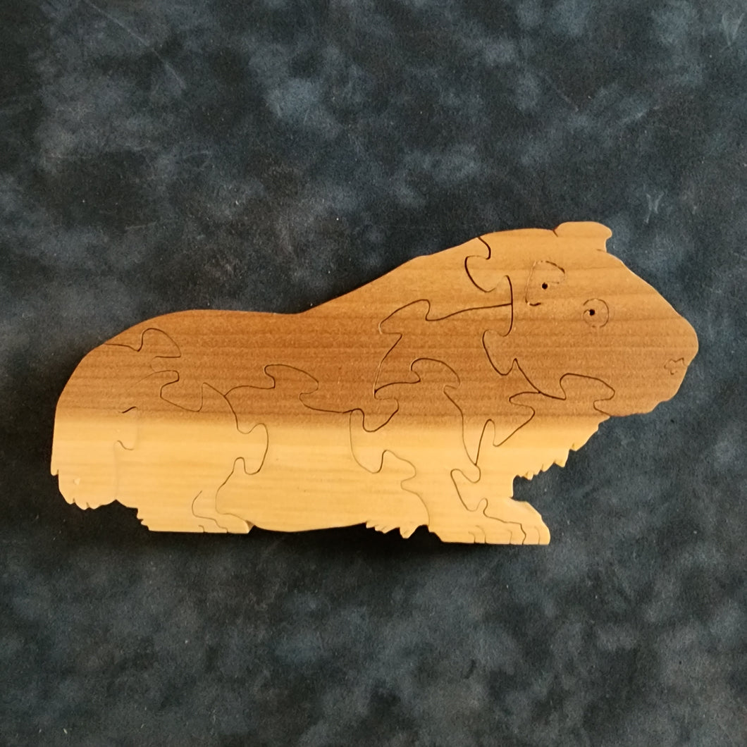Guinea Pig Puzzle
