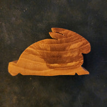 Load image into Gallery viewer, Little Bunny
